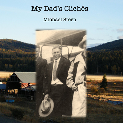 Not Very Nice by Michael Stern